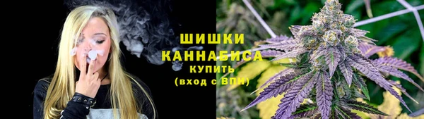 спайс Богородск