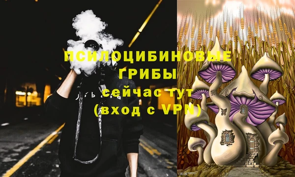 спайс Богородск