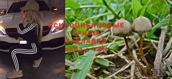 спайс Богородск