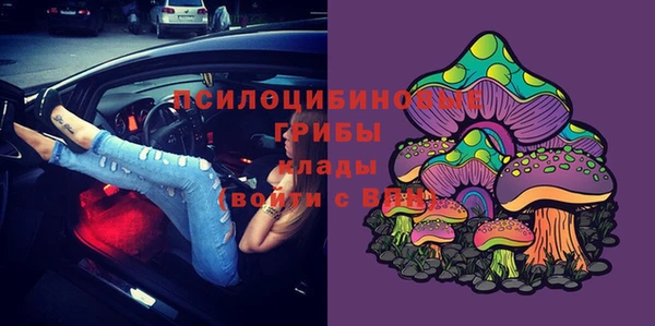 спайс Богородск